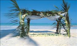 exclusive Zanzibar honeymoon offers exclusive Zanzibar honeymoon offers
