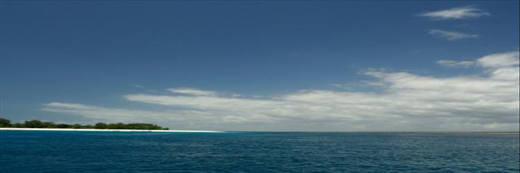 Zanzibar Holiday and Hotel Deals Zanzibar Holiday and Hotel Deals